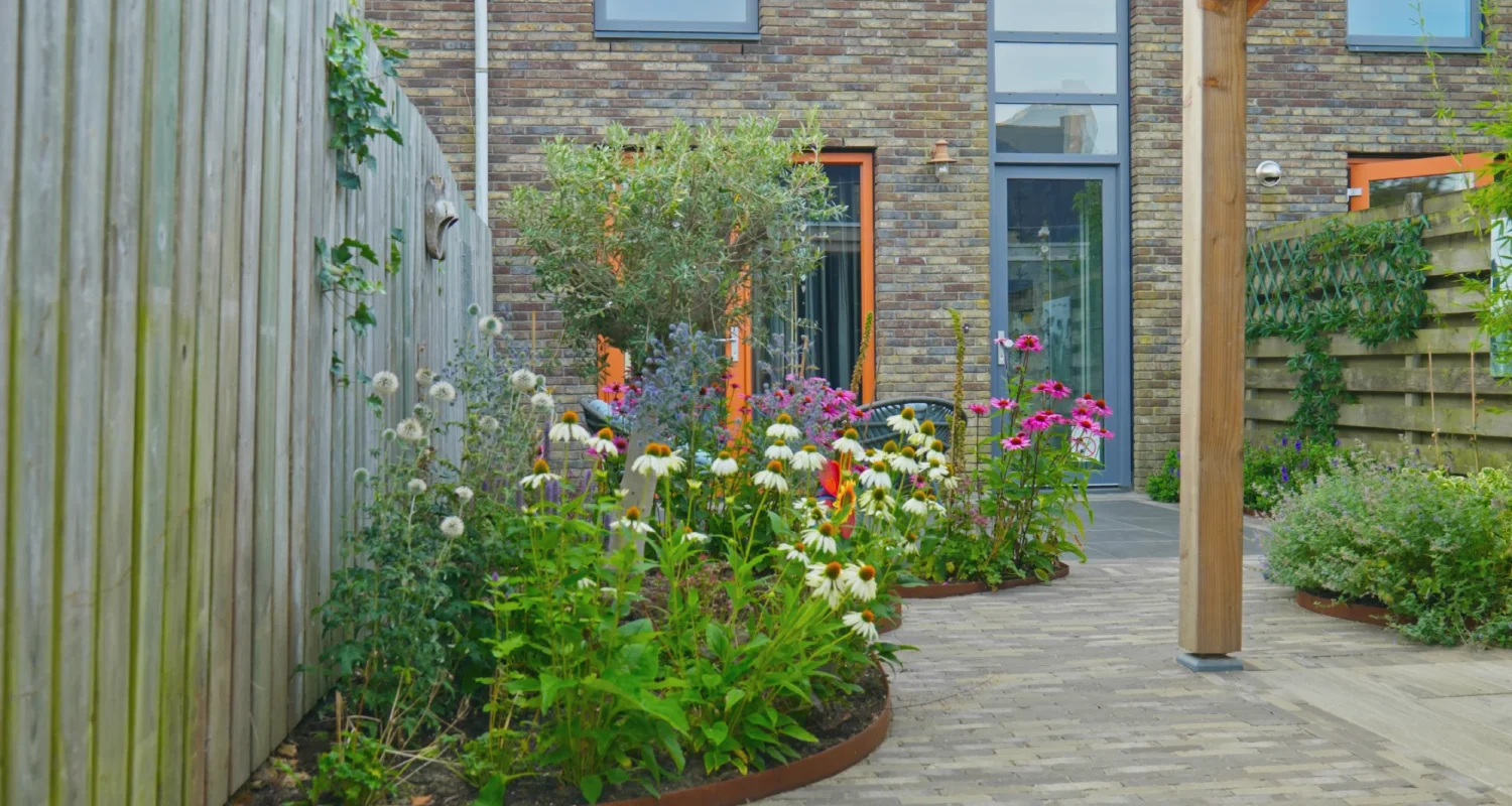 Nieuwe Niedorp foto 2